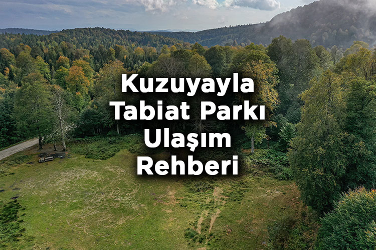 Kuzuyayla Tabiat Parkı Nerede Ve Nasıl Gidilir?
