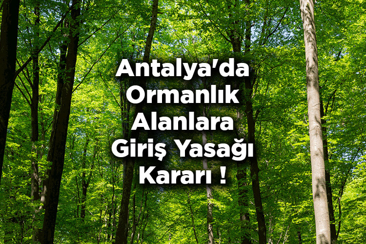 Antalya'da Ormanlık Alanlara Giriş Yasağı Kararı! – Antalya'da Ormana Giriş Yasak Mı?