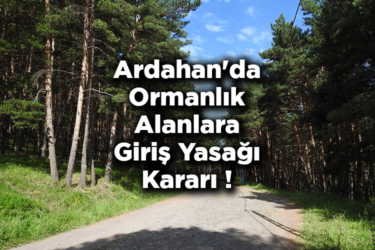 Ardahan'da Ormanlık Alanlara Giriş Yasağı Kararı! – Ardahan'da Ormanlara Giriş Yasak Mı?