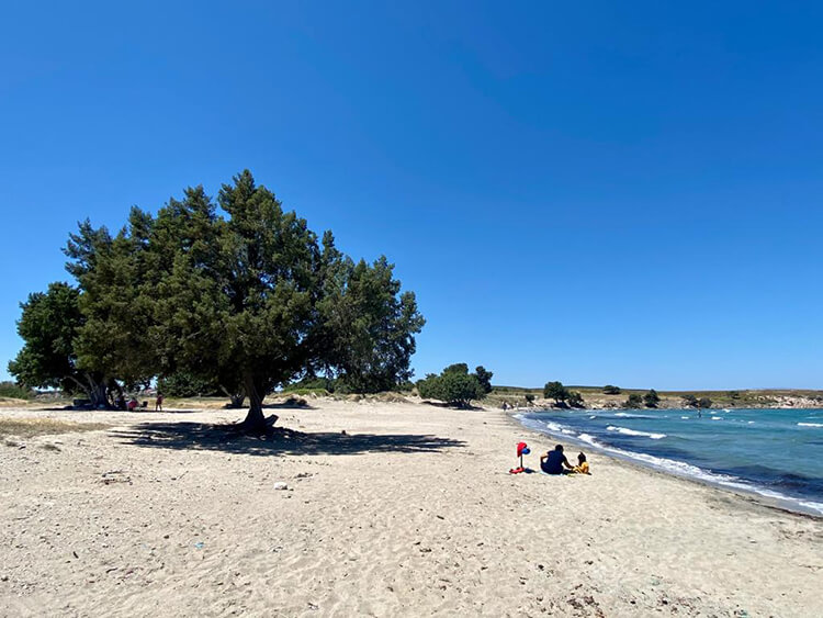 Ardıç Plajı