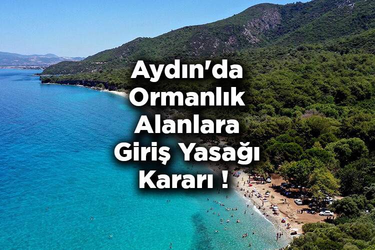 Aydın'da Ormanlık Alanlara Giriş Yasağı Kararı! – Aydın'da Ormanlara Giriş Yasak Mı?