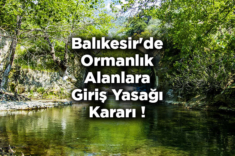 Balıkesir'de Ormanlık Alanlara Giriş Yasağı Kararı! – Balıkesir'de Ormana Giriş Yasak Mı?