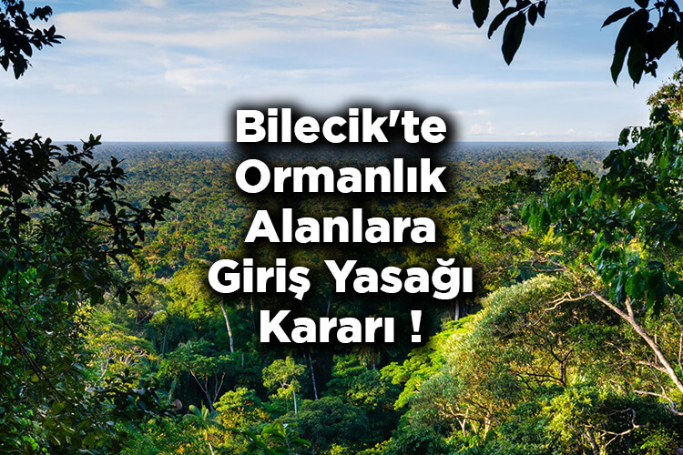 Bilecik'te Ormanlık Alanlara Giriş Yasağı Kararı! – Bilecik'te Ormana Giriş Yasak Mı?