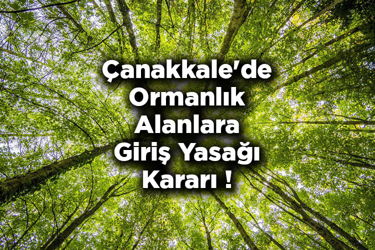 Çanakkale'de Ormanlık Alanlara Giriş Yasağı Kararı! – Çanakkale'de Ormanlara Giriş Yasak Mı?
