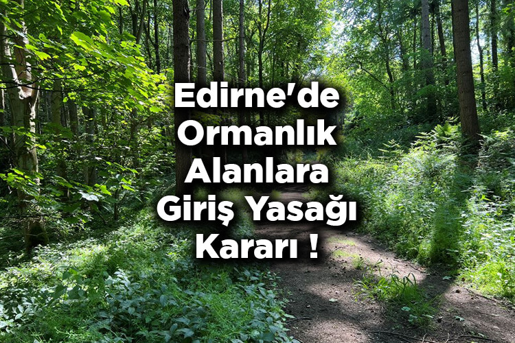 Edirne'de Ormanlık Alanlara Giriş Yasağı Kararı! – Edirne'de Ormana Giriş Yasak Mı?