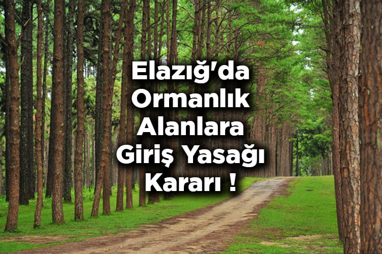 Elazığ'da Ormanlık Alanlara Giriş Yasağı Kararı! – Elazığ'da Ormana Giriş Yasak Mı?