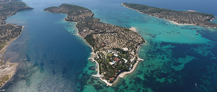Garip Adası