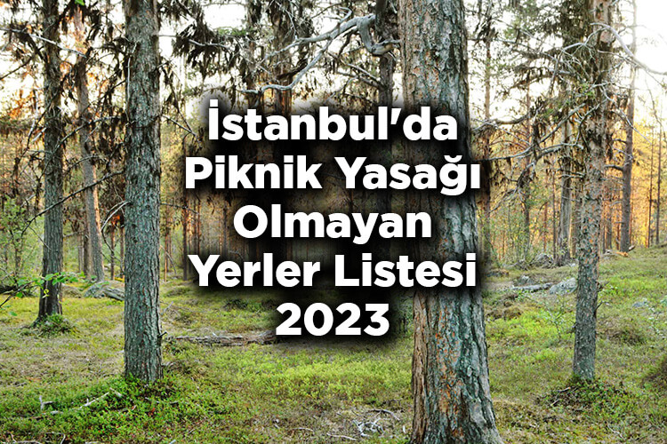 İstanbul'da Piknik Yasağı Olmayan Yerler Listesi 2023
