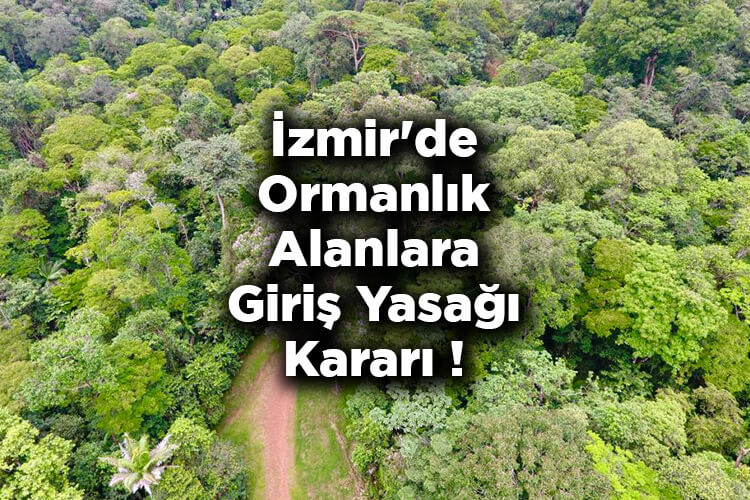 İzmir'de Ormanlık Alanlara Giriş Yasağı Kararı! – İzmir'de Ormana Giriş Yasak Mı?