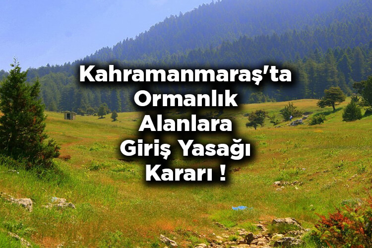 Kahramanmaraş'ta Ormanlık Alanlara Giriş Yasağı Kararı! – Kahramanmaraş'ta Ormana Giriş Yasak Mı?