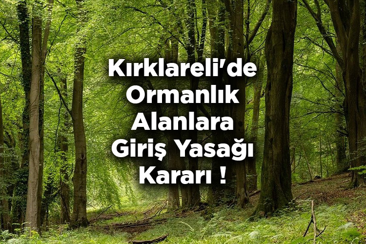 Kırklareli'de Ormanlık Alanlara Giriş Yasağı Kararı! - Kırklareli'de Ormanlara Giriş Yasak Mı?