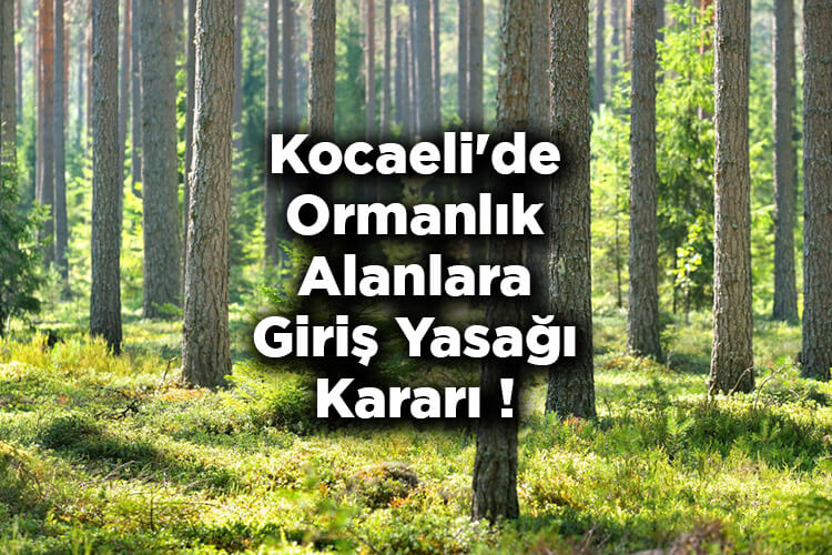 Kocaeli'de Ormanlık Alanlara Giriş Yasağı Kararı! – Kocaeli'de Ormana Giriş Yasak Mı?