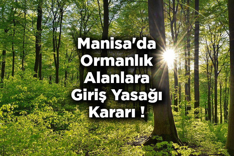 Manisa'da Ormanlık Alanlara Giriş Yasağı Kararı! – Manisa'da Ormanlara Giriş Yasak Mı?