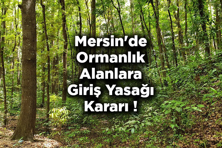Mersin'de Ormanlık Alanlara Giriş Yasağı Kararı! – Mersin'de Ormana Giriş Yasak Mı?