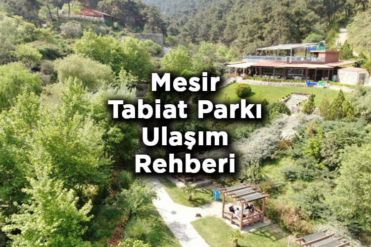 Mesir Tabiat Parkı Nerede Ve Nasıl Gidilir?