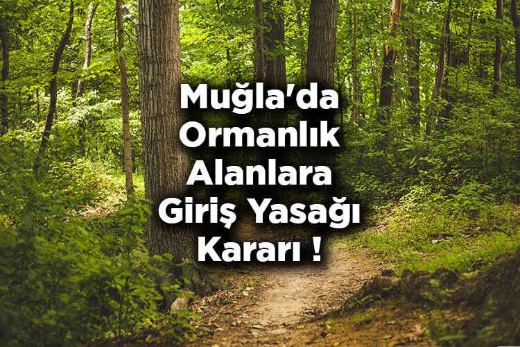 Muğla'da Ormanlık Alanlara Giriş Yasağı Kararı! – Muğla'da Ormanlara Giriş Yasak Mı?