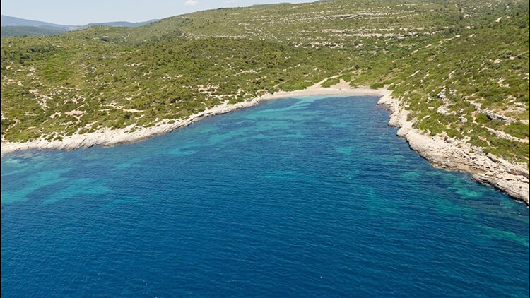 Önen Koyu