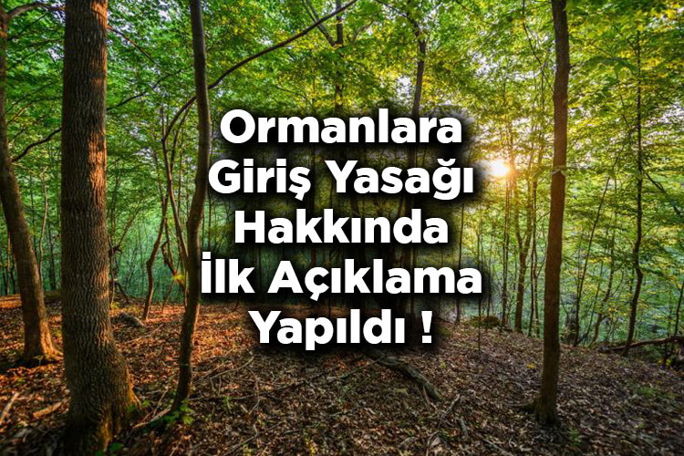 Ormanlara Giriş Yasağı Hakkında İlk Açıklama Yapıldı! - Hangi İllerde Ormanlara Girişler Yasaklandı?