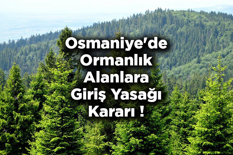 Osmaniye'de Ormanlık Alanlara Giriş Yasağı Kararı! – Osmaniye'de Ormanlara Giriş Yasak Mı?