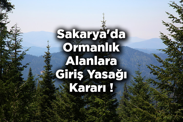 Sakarya'da Ormanlık Alanlara Giriş Yasağı Kararı! – Sakarya'da Ormana Giriş Yasak Mı?