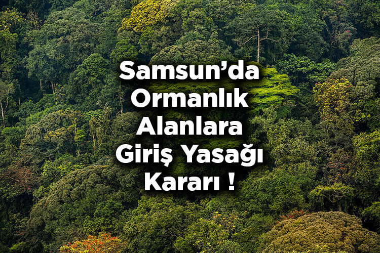 Samsun'da Ormanlık Alanlara Giriş Yasağı Kararı! – Samsun'da Ormana Giriş Yasak Mı?