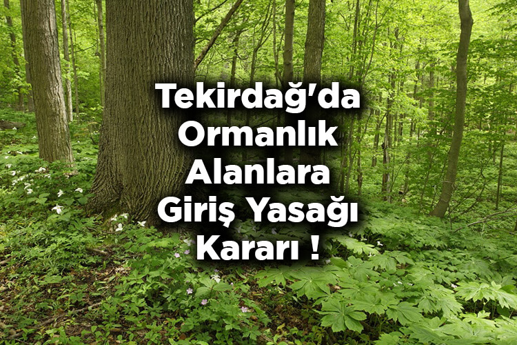 Tekirdağ'da Ormanlık Alanlara Giriş Yasağı Kararı! - Tekirdağ'da Ormana Giriş Yasak Mı?