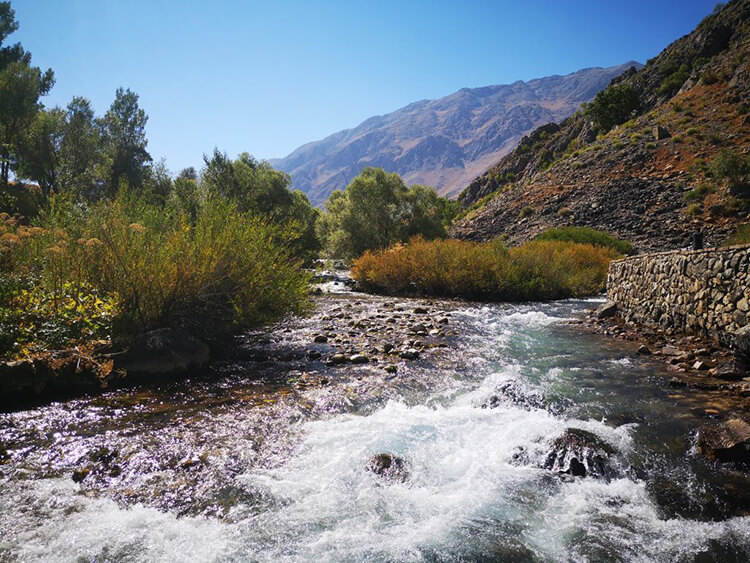 Tunceli'de Ormanlara Giriş Yasak Mı?