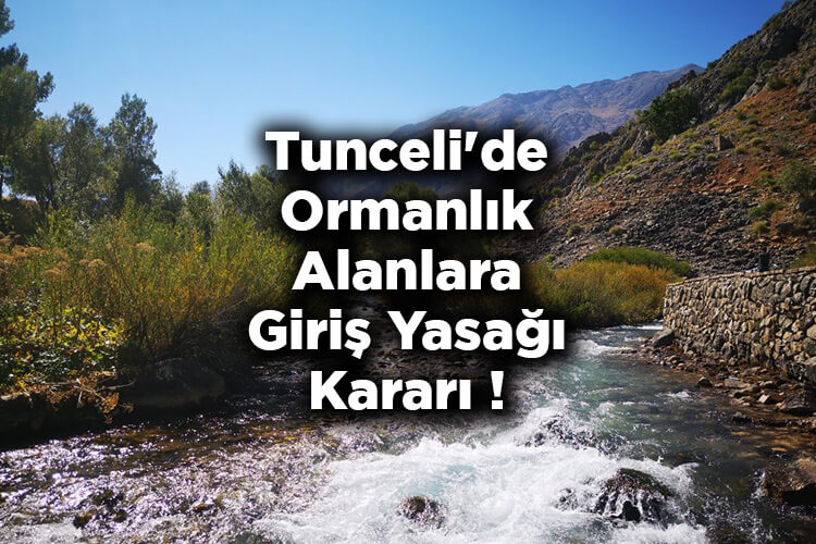 Tunceli'de Ormanlık Alanlara Giriş Yasağı Kararı! – Tunceli'de Ormanlara Giriş Yasak Mı?