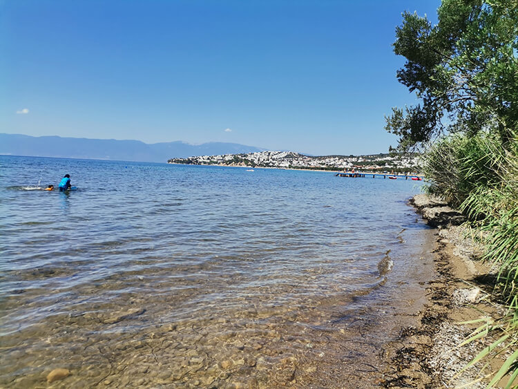 Altınyol Koyu