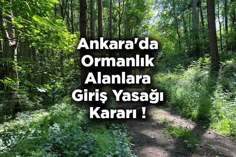 Ankara'da Ormanlık Alanlara Giriş Yasağı Kararı! – Ankara'da Ormana Giriş Yasak Mı?