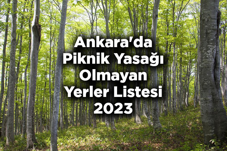 Ankara'da Piknik Yasağı Olmayan Yerler Listesi 2023
