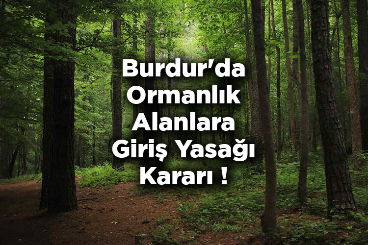 Burdur'da Ormanlık Alanlara Giriş Yasağı Kararı! – Burdur'da Ormana Giriş Yasak Mı?
