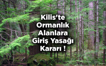 Kilis'te Ormanlık Alanlara Giriş Yasağı Kararı! – Kilis'te Ormana Giriş Yasak Mı?