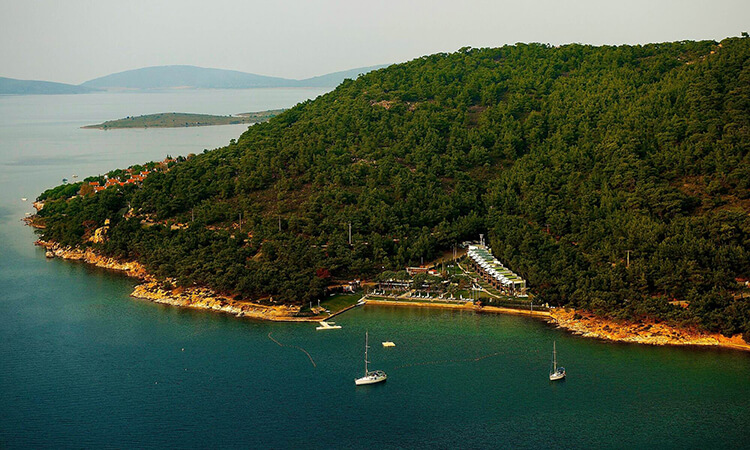 Ortunç Koyu