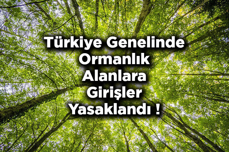 Türkiye Genelinde Ormanlık Alanlara Girişler Yasaklandı!