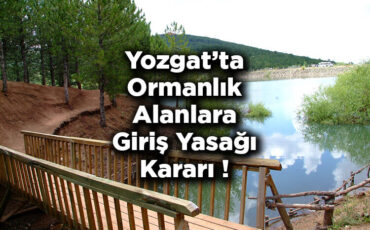 Yozgat'ta Ormanlık Alanlara Giriş Yasağı Kararı! – Yozgat'ta Ormana Giriş Yasak Mı?