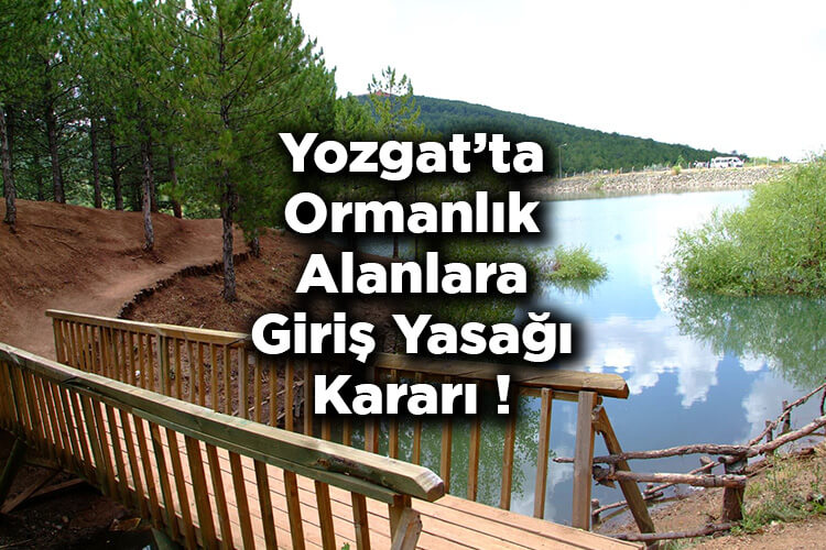 Yozgat'ta Ormanlık Alanlara Giriş Yasağı Kararı! – Yozgat'ta Ormana Giriş Yasak Mı?