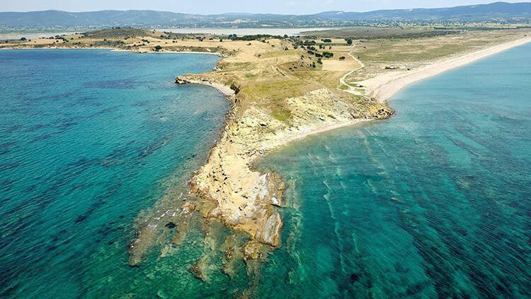 Küçük Kemikli Koyu