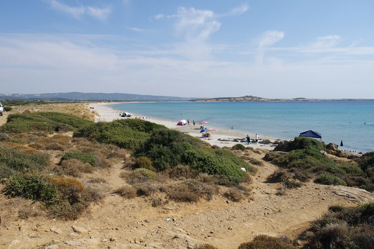 Suvla Koyu