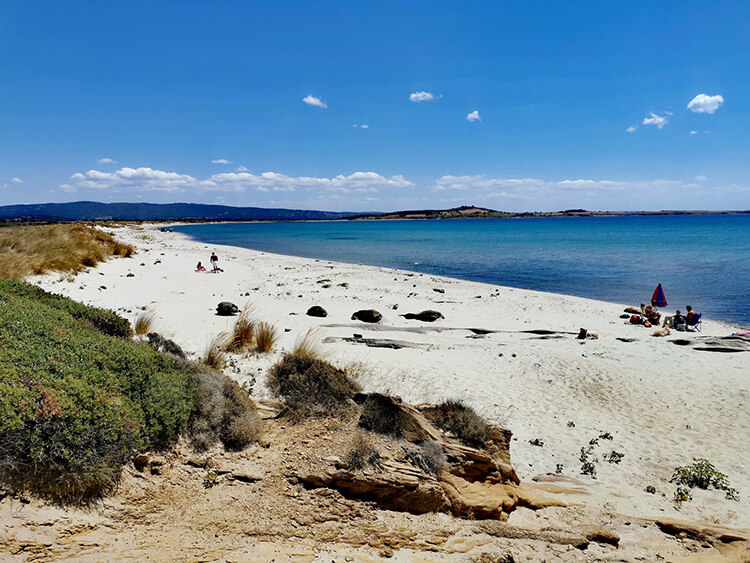 Suvla Koyu