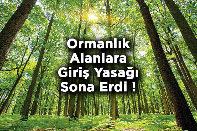 Ormanlık Alanlara Giriş Yasağı Sona Erdi!