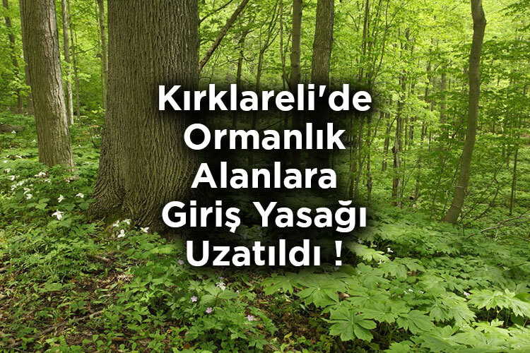 Kırklareli'de Ormanlık Alanlara Giriş Yasağı Uzatıldı!
