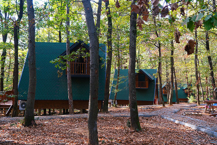 Sakarya İl Ormanı Tabiat Parkı'nda Doğa İle İç içe Bungalov Tatili