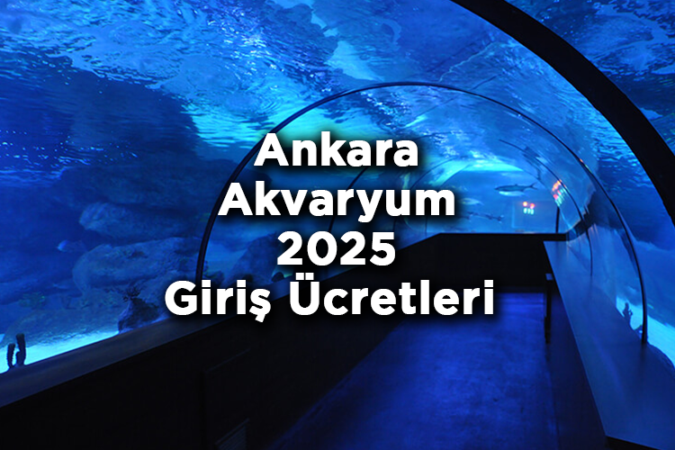 Ankara Akvaryum Giriş Ücretleri 2025 – Ankara Aqua Vega Gezi Rehberi