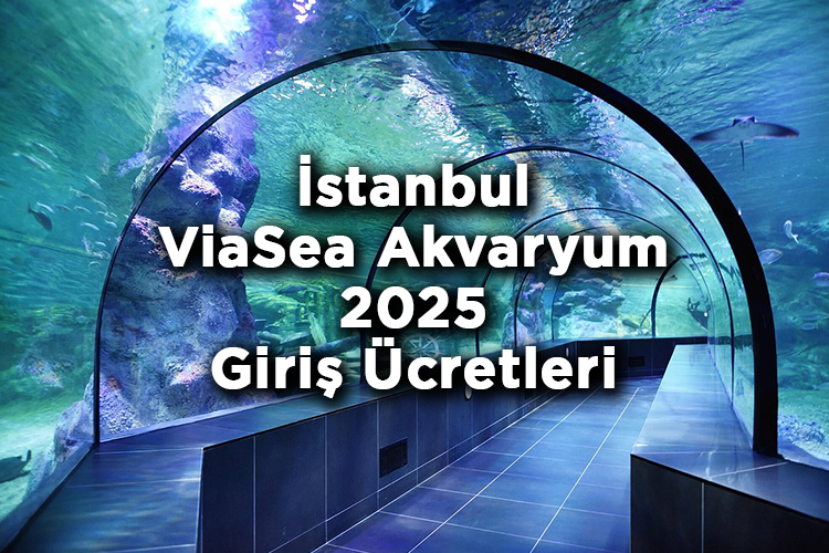 İstanbul ViaSea Aquarium 2025 Giriş Ücretleri – İstanbul Viaport Marina ViaSea Akvaryum Gezi Rehberi