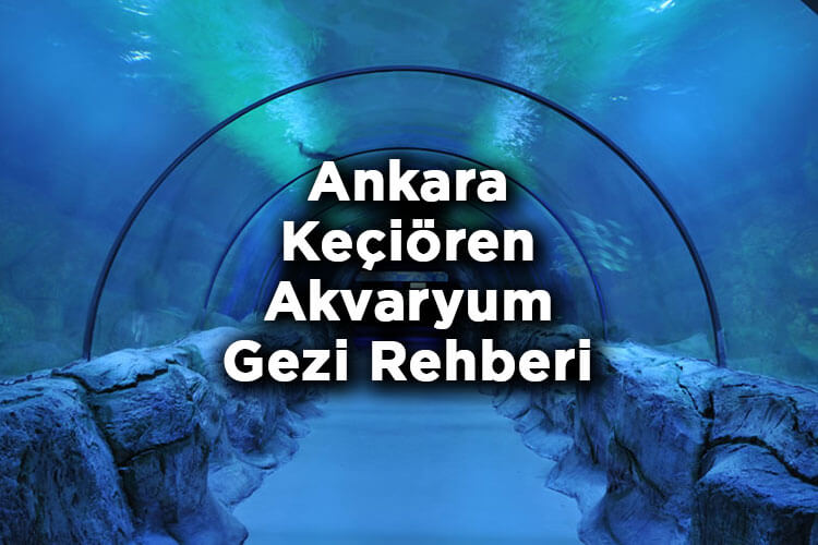 Ankara Keçiören Belediyesi Deniz Dünyası Gezi Rehberi