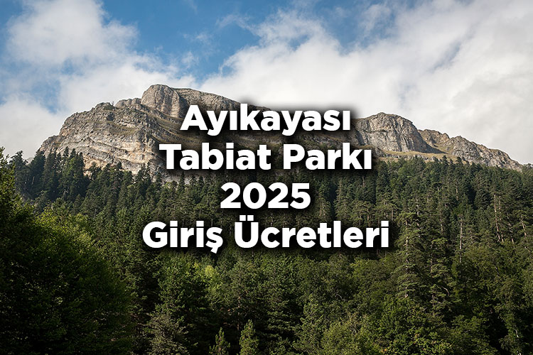 Ayıkayası Tabiat Parkı 2025 Giriş Ücretleri - Ayıkayası Tabiat Parkı Nerede Ve Nasıl Gidilir?