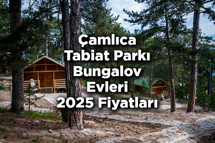 Çamlıca Tabiat Parkı Orman Köşkleri 2025 Fiyatları - Çamlıca Tabiat Parkı Bungalov Evleri 2025 Fiyatları