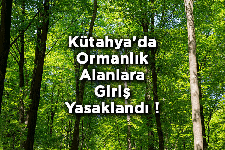 Kütahya'da Ormanlık Alanlara Giriş Yasaklandı! – Kütahya'da Ormana Giriş Yasak Mı?