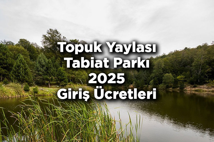Topuk Yaylası Tabiat Parkı 2025 Giriş Ücretleri - Topuk Yaylası Tabiat Parkı Nerede Ve Nasıl Gidilir?